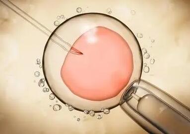 三代试管囊胚移植失败是什么原因，要啊如何提高试管成功率