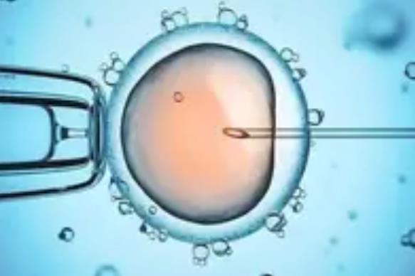 试管婴儿降调促排是什么意思，试管婴儿做什么有利于胚胎移植