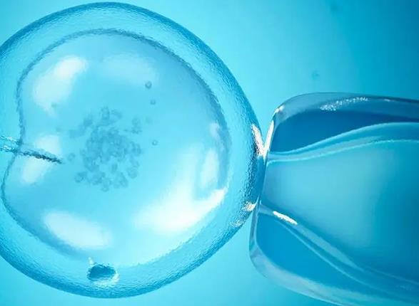 试管婴儿移植的优质胚胎怎么突然停止发育了